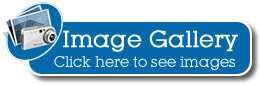 Image Gallery